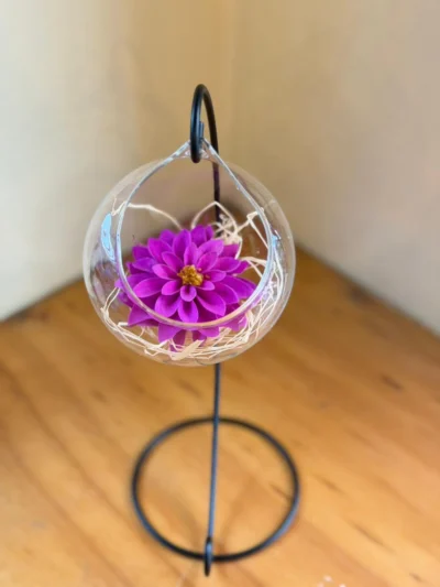 Dalia preservada en esfera de Vidrio (Elige color) - Floreria Encactus Vina del Mar