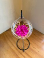 Dalia preservada en esfera de Vidrio (Elige color)