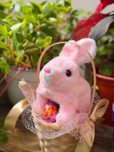 Canastita dulce conejito - Floreria Encactus Vina del Mar