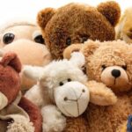 Peluche Tierno Misterioso PROMO - Floreria Encactus Vina del Mar