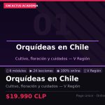 Orquídeas en Chile: Guía Completa para la V Región — Curso Online