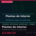Plantas de Interior: Convierte tu Hogar en un Jardin - Curso Online