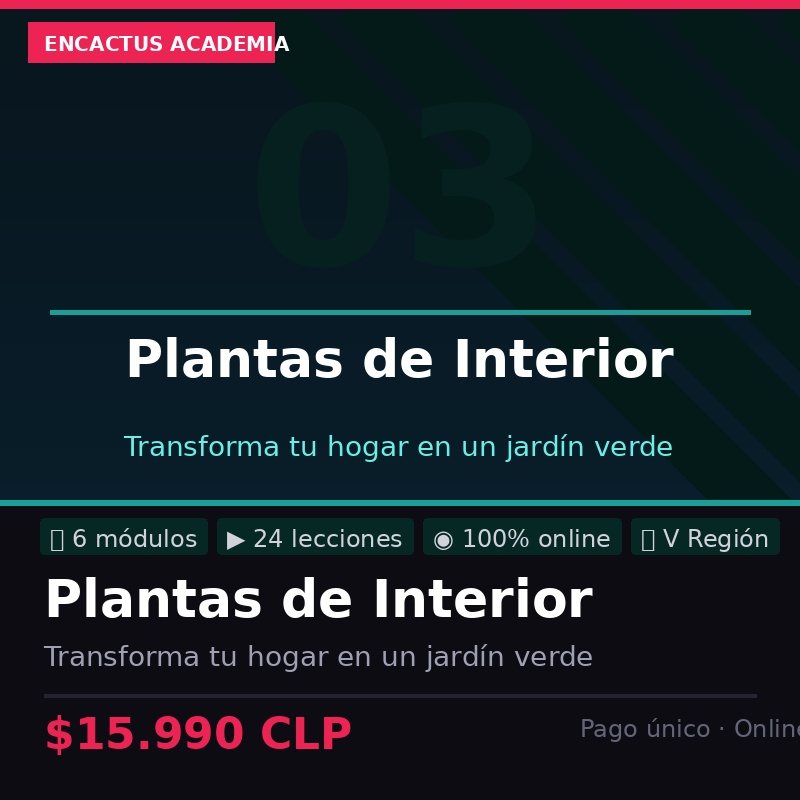 Curso Plantas Interior Encactus
