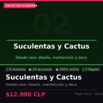 Suculentas y Cactus desde Cero: Curso Online Encactus