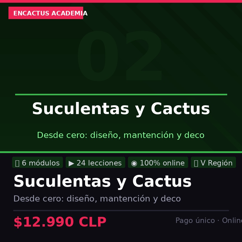 Curso Suculentas Cactus Encactus