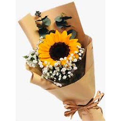 Bouquet Sol: un girasol envuelto en kraft con eucalipto y paniculata — Encactus Viña del Mar